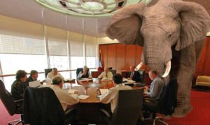 elephant in boardroom