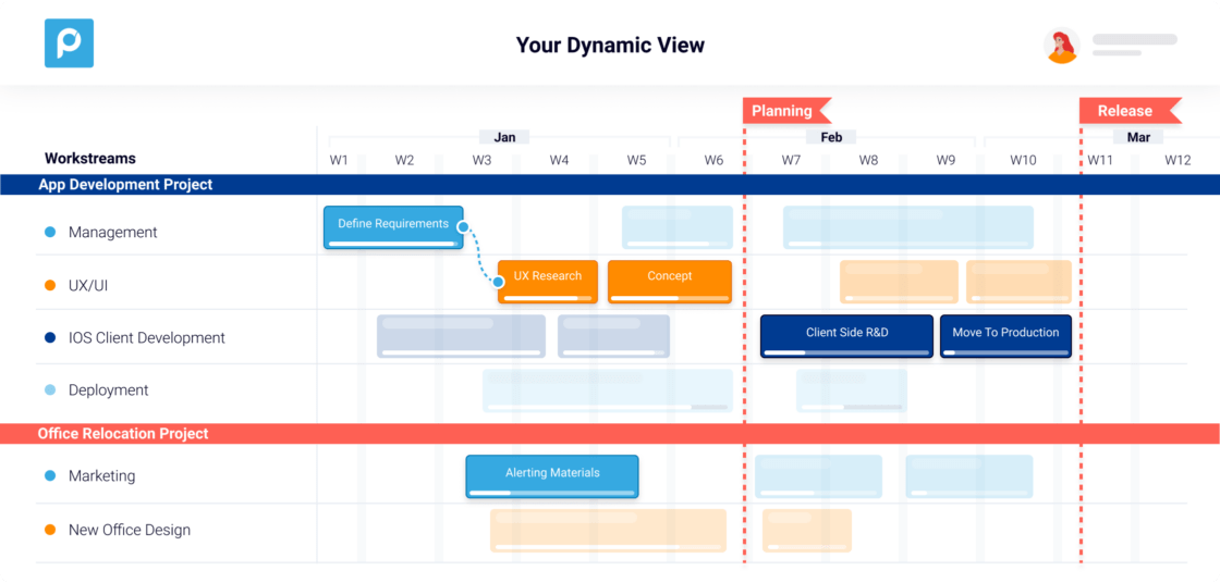 Dynamic view