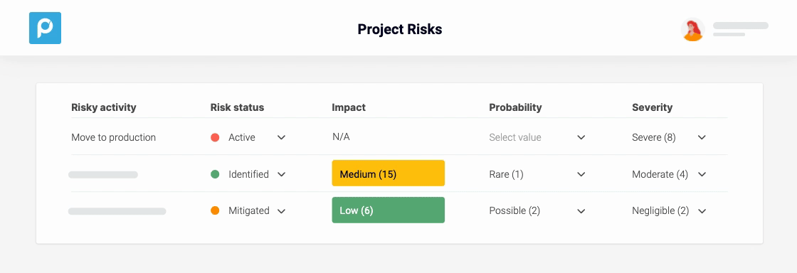 Project Risks