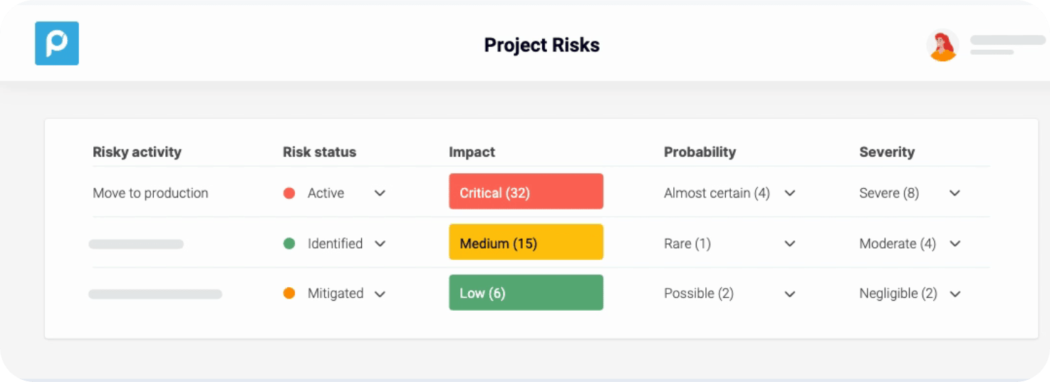 Project Risks