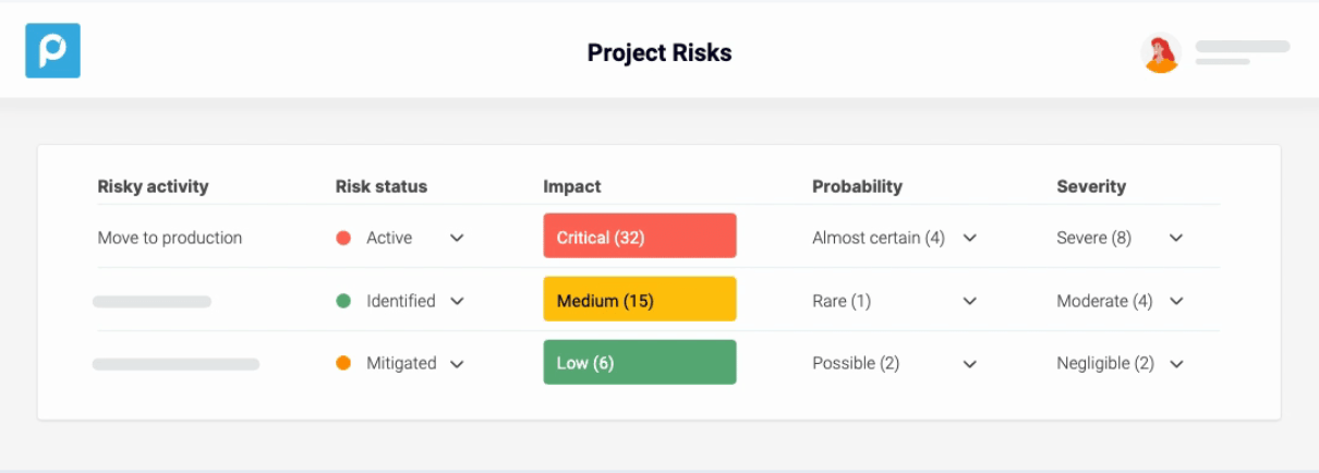 Project Risks