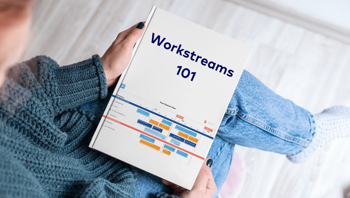 The Power of Workstreams [Project Areas]