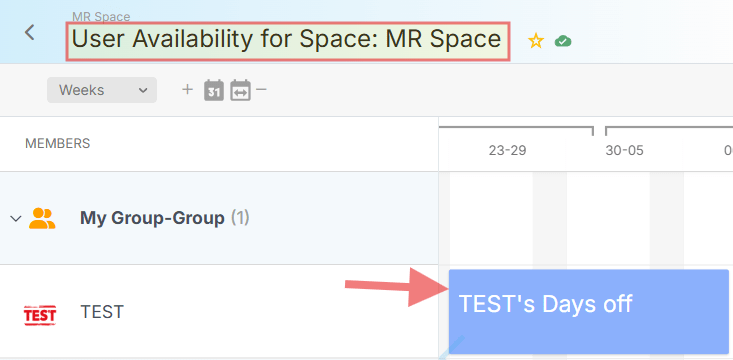 Timeline view displaying all team members with their scheduled time off highlighted, showing individual availability in Resource Management