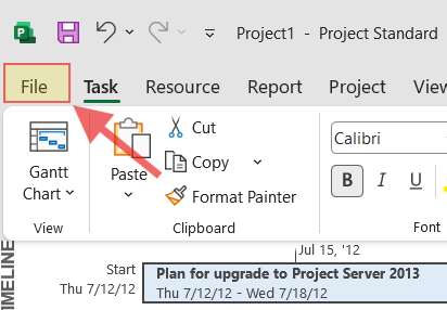 MS Project File menu button highlighted in the top left corner